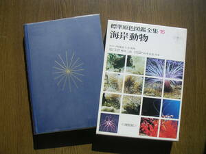 ∞　標準原色図鑑全集16　海岸動物　保育社、刊　西村三郎・鈴木克美、共著　昭和50年発行