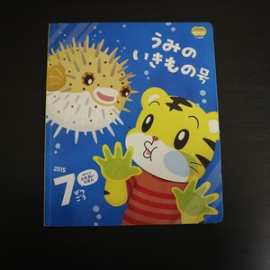 特2 51527 / うみのいきもの号 こどもちゃれんじ ぽけっと 2015年7月号 すいぞくかんにいこう！ ひとつずつくばろう よるのおさんぽ