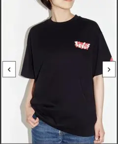 FUJI ROCK FESTIVAL × LEVI’S® Tシャツ　リーバイス