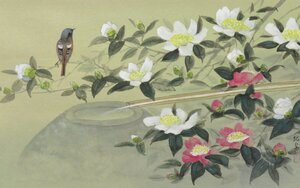 ◆◇掛軸 田中松泉 山茶花 尺八横 現代作家新作掛軸 hanging scroll◇◆晩秋 冬 普段掛け 日本画 花鳥画 JY1849