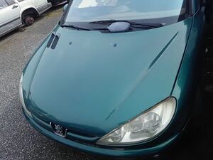 ■プジョー 206 ローランギャロス ボンネット エンジン フード 緑 中古 2003年 Peugeot Roland Garros T16RG bonnet hood green■