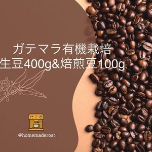 ガテマラ有機栽培 生豆400g&焙煎豆100g