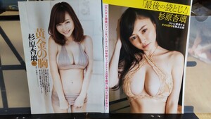 杉原杏璃 2冊から切り抜き7ページ