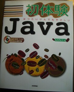 ★送料無料★初体験Ｊａｖａ