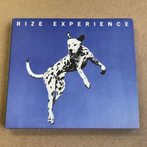 送料無料☆RIZE『EXPERIENCE』初回限定盤CD＋DVD38分収録☆美品☆アルバム☆335