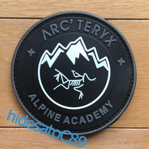 アークテリクス LEAF alpine academy pacth パッチ ワッペン alpha 再生産予定無し レアカラー