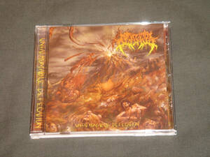 MONUMENTAL DISCHARGE/UNFATHOMABLE DEFECATION/SLAMMING BRUTAL DEATH METAL/スラミング・ブルータル・デス・メタル/ブルデス