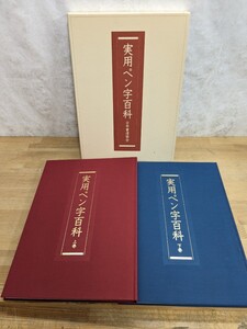 L71□『実用ペン字百科』ユーキャン 日本書道協会 上下巻 ボールペン時 美文字 通信教育 著者:鈴木啓水 ペン字講座 240607