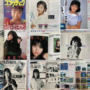 月刊コンプティーク 1988年5月号 小沢なつき 大西結花 斉藤由貴 南野陽子FM77 イース 風間美由紀 北岡夢子 悪魔城ドラキュラ JAGUAR VOL.42