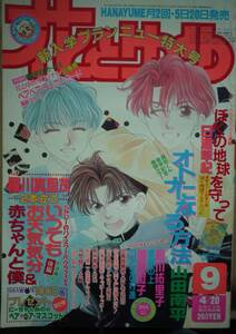 花とゆめ1994年9号☆山田南平羅川真里茂松川祐里子遠藤淑子日渡早紀仲村佳樹由貴香織里山口美由紀和田慎二河惣益巳那州雪絵山中音和立花晶