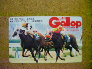 I976Aa・スプリングバンブー　ギャロップ　Gallop　抽プレ　未使用　50度数　テレカ