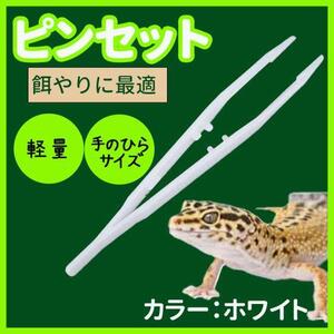 爬虫類 餌やり ピンセット 1本 白 両生類 レオパ 衛生 飼育 軽量 18cm