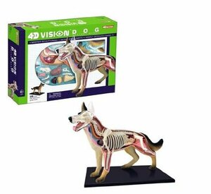 Tedco 入学祝い 科学おもちゃサイエンストイ 教材 立体パズル 4D Vision 犬解剖モデル 自由研究 キット