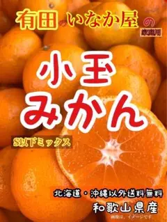 数量限定　みかん5kg 柑橘　和歌山　有田　小玉　セール Ｓ以下 お早目に１点