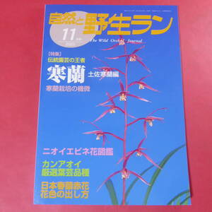 YN4-241219☆自然と野生ラン 2003年11月号　※ 寒蘭 エビネ カンアオイ 春蘭 ※ 園芸JAPAN