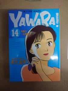 滝沢直樹　YAWARA! 14