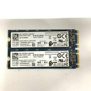 S60508168 SanDisk M.2 256GB SSD 2点【中古動作品】