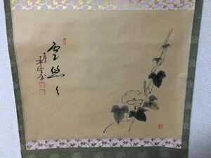 【雪華】 大徳寺 西垣宗興 和尚 天雲画 朝顔 雲悠々 紙本 掛軸 茶掛 茶道具 【 表 裏 千家 而妙斎 即中斎 鵬雲斎 坐忘斎 】