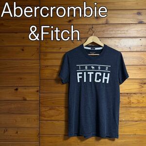 Abercrombie&Fitch tシャツ