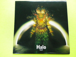 LP/チューリップ＜Halo＞　☆５点以上まとめて（送料0円）無料☆