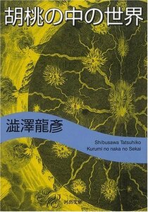 胡桃の中の世界 (河出文庫)