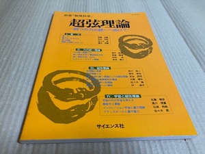 【送料込\2000】別冊『数理科学』超弦理論　四つの力の統一へ向けて