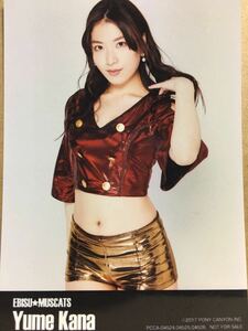 【恵比寿★マスカッツ 由愛可奈 喜怒愛楽 初回生産分CD封入特典 公式生写真 ランダム写真 アルバム】