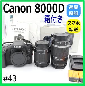 Canon EOS 8000Dダブルズームレンズキット　スマホ転送　高画質