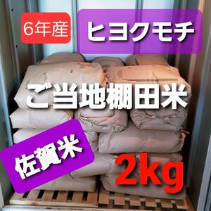 令和6年産棚田で育てたヒヨクモチ白米包帯込み2kg新米