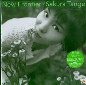 B00171661/LD/丹下桜「New Frontier (1998年・KILM-59)」