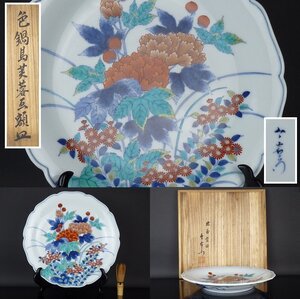 【扇屋】十二代 今泉今右衛門「色鍋島芙蓉画 額皿」共箱 幅 約31cm 高さ 約4.5cm 色絵 花文 飾皿 大皿 有田焼 K-2