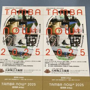 兵庫陶芸美術館 招待券2枚セット TAMBA NOW＋2025 2/28まで 