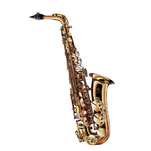 Forestone フォレストーン Alto Saxophone GX Cognac Lacquer アルトサックス