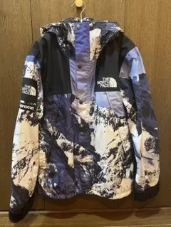 Supreme / The North Face® Mountain Parka