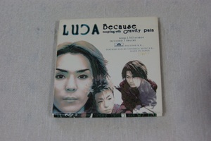 Because LUCA ８㎝CD