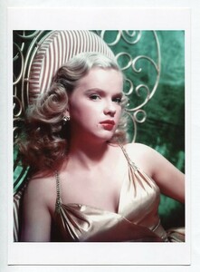 ［フォト5x7］ アン・フランシス Anne Francis #12 映画女優写真(中)