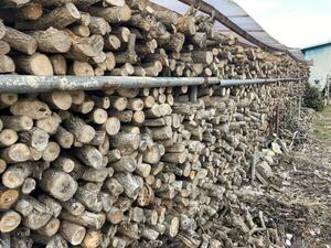 福島県　薪　マキ　そのまま使える丸太（ほとんど柿の木）軽トラ1台分（約1立米）　去年の3月から棚にて乾燥