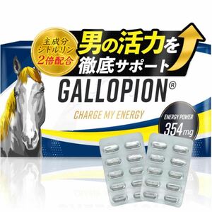 GALLOPION (ギャロピオン) 30粒 日本製 総合メンズサプリ 厳選成分20種配合 シトルリン アルギニン 亜鉛 エナジーチャージ サプリ