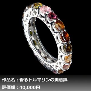 【1円新品】4.00ct 天然トルマリン K14WG仕上リング 14号｜作家モノ｜日宝協鑑別対応