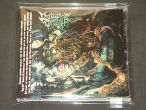 DISFIGUREMENT OF FLESH/SHRINE OF IMMORTALS/スラミング・ブルータル・デス・メタル/SLAMMING BRUTAL DEATH METAL/TRAUMATOMY