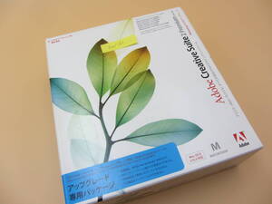 SW161●Adobe Creative Suite 2 Premium/アップグレード専用パッケージ/Mac os