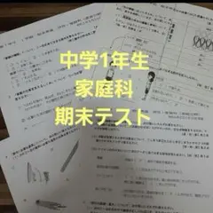 中学服教科　中学期末テスト　中学家庭科　中学過去問