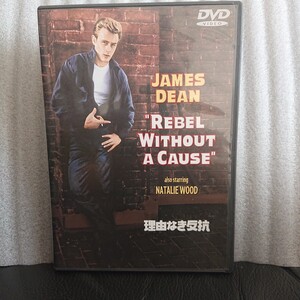 理由なき反抗 ジェームス ディーン JAMES DEAN REBEL 50