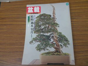 盆栽　松柏雑木皐月・厳選ワイドカラー・京の四季　近代盆栽別冊 /植