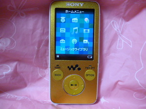 ★☆SONY WALKMAN ウォークマン NW-S636F【動作確認済】☆★