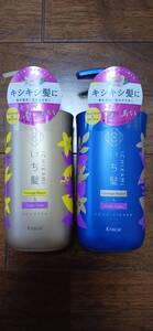 ☆いち髪 ダメージリペア＆カラーケア シャンプー＆コンディショナー ペアセット（480ml＋480g）×1個☆