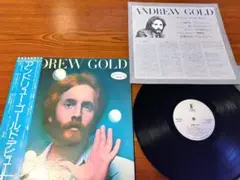 〈見本盤〉ANDREW GOLD アルバム レコード