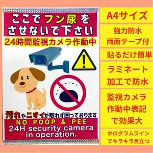 両面テープ付 監視カメラ作動中 犬 犬の フン ふん 糞 糞尿 尿 おしっこ 犬の尿 警告 禁止 お断り 張り紙 看板 ポスター ステッカー シール