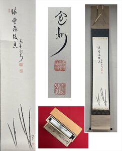 【千寿】大徳寺派 三玄院 長谷川寛州 流蛍飛復息 蛍画賛 紙本 d1034◆在銘 箱 茶掛 掛軸 掛物 茶道具 100033072　