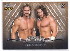 2016 Topps WWE Undisputed Blake & Murphy Bronze /99